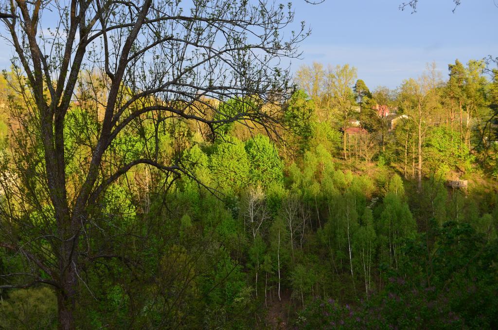 Penzion Vila Elektra Bechyně Exterior foto
